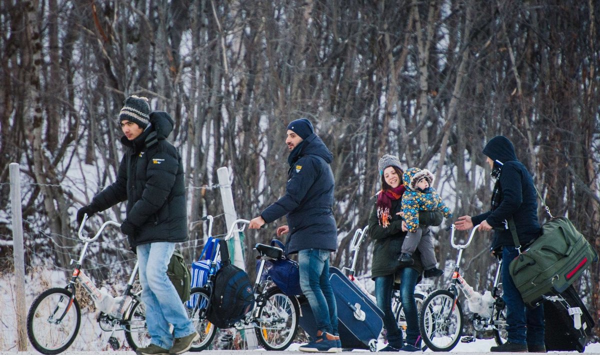 Migrandid Norras Storskogis 12. novembril 2015