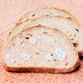 Toidutootjad selgitavad: kas leiba, moosi, jogurtit või suitsuvorsti tohib süüa, kui sellele on tekkinud väike hallitusetäpp?
