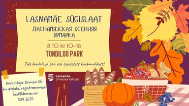 Осенняя ярмарка в Ласнамяэ впервые пройдет в парке Тондилоо