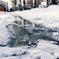 Как бороться со льдом на дорожках и почему нельзя использовать обычную соль в саду?