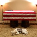 FOTO | George H.W. Bushi koer Sully saatis peremehe tema viimasele teekonnale