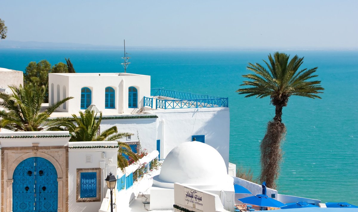 Pealinnast Tunisest 20 kilomeetri kaugusel rõõmustab silma sinivalge kuurortlinnake Sidi Bou Said.