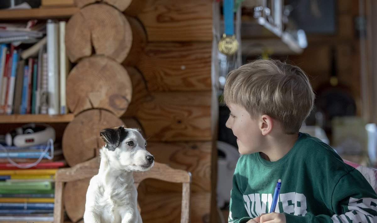 Niipalju, nagu on erinevaid koolilapsi, on ka erinevaid suhtumisi distantsõppesse, fakt igatahes, et koolis koos koeraga õppida ei saa... Isegi Toots mitte!