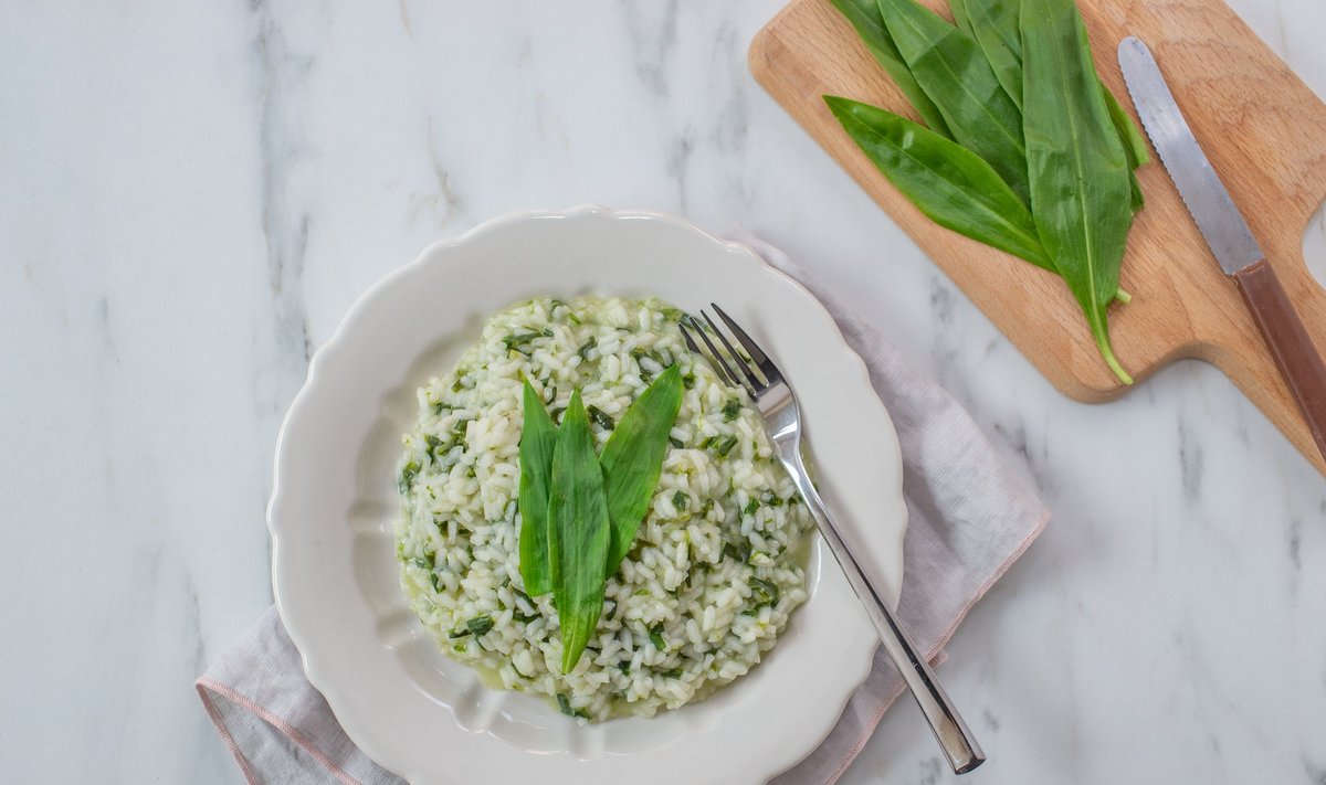 Karulaugurisoto