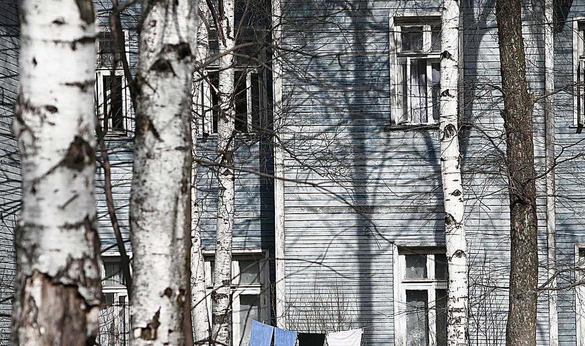 фото иллюстративное