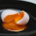 Вредно ли есть яйца каждый день?