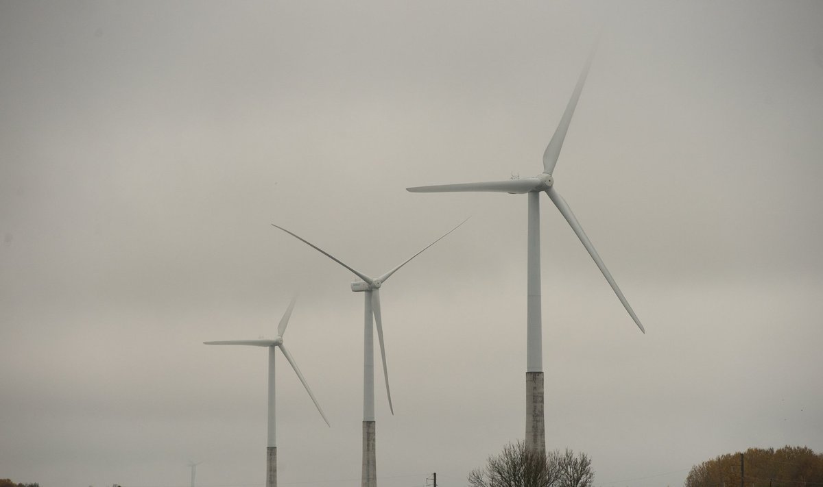 Pärast 2030. aastat, kui heitkoguste vähendamise vahe-eesmärk on samamoodi jätkates saavutatud, peab Eesti Cambridge’i ülikooli kliimamuutuste majanduse vanemteadur Annela Anger-Kraavi sõnutsi põlevkivi põletamise täielikult lõpetama ja laialdasemalt tuuleenergia ja muu taastuvenergia kasutusele võtma.
