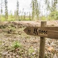 RMK — любителям шашлыка: из лесов Эстонии вывозят сотни тонн мусора в год