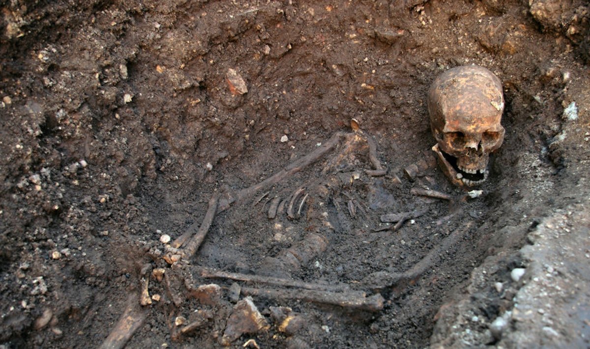 Richard III luustik kaevati välja Leicesteri kesklinnast.