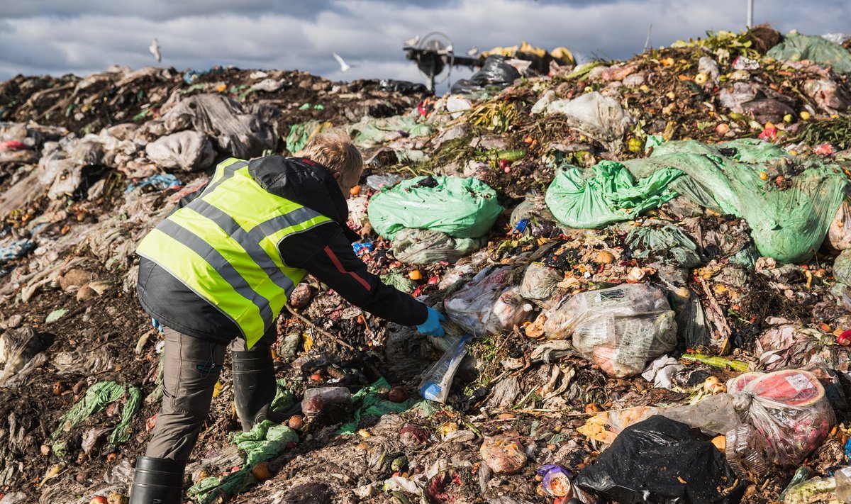 Selleks, et biojäätmetest saaks rammus väetis, peab esmalt olema inimestele tagatud võimalus biojäätmeid eraldi koguda ja ära anda. Pildil Aardlapalu prügila, kus biojäätmeid komposteeritakse.