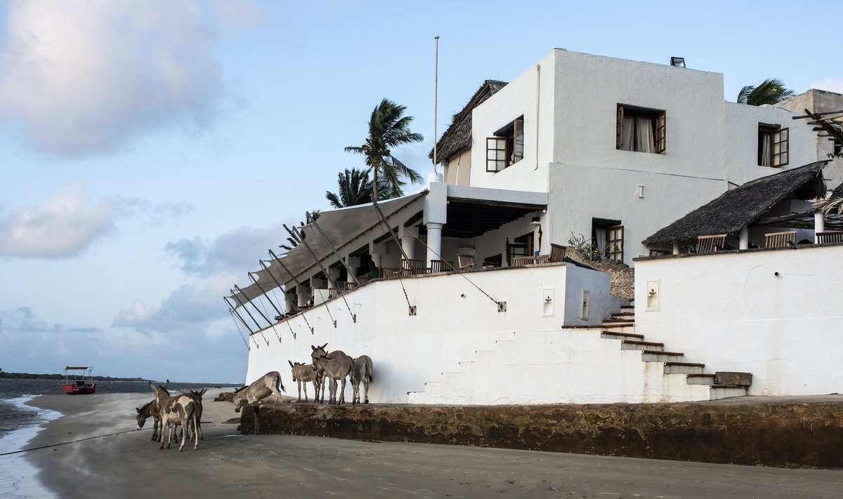 Shela küla Peponi hotell on üks Lamu saare ikoonilisemaid hooneid, ehkki jääb oma alla saja eluaastaga enam kui poole sajandi vanusele suahiili arhitektuuri pärlile Lamu linnale kõvasti alla.