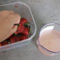 VIDEO | Paneme ehmatava maasikatesti proovile! Kas ka meie turul leiduvates maasikates peituvad ussid?