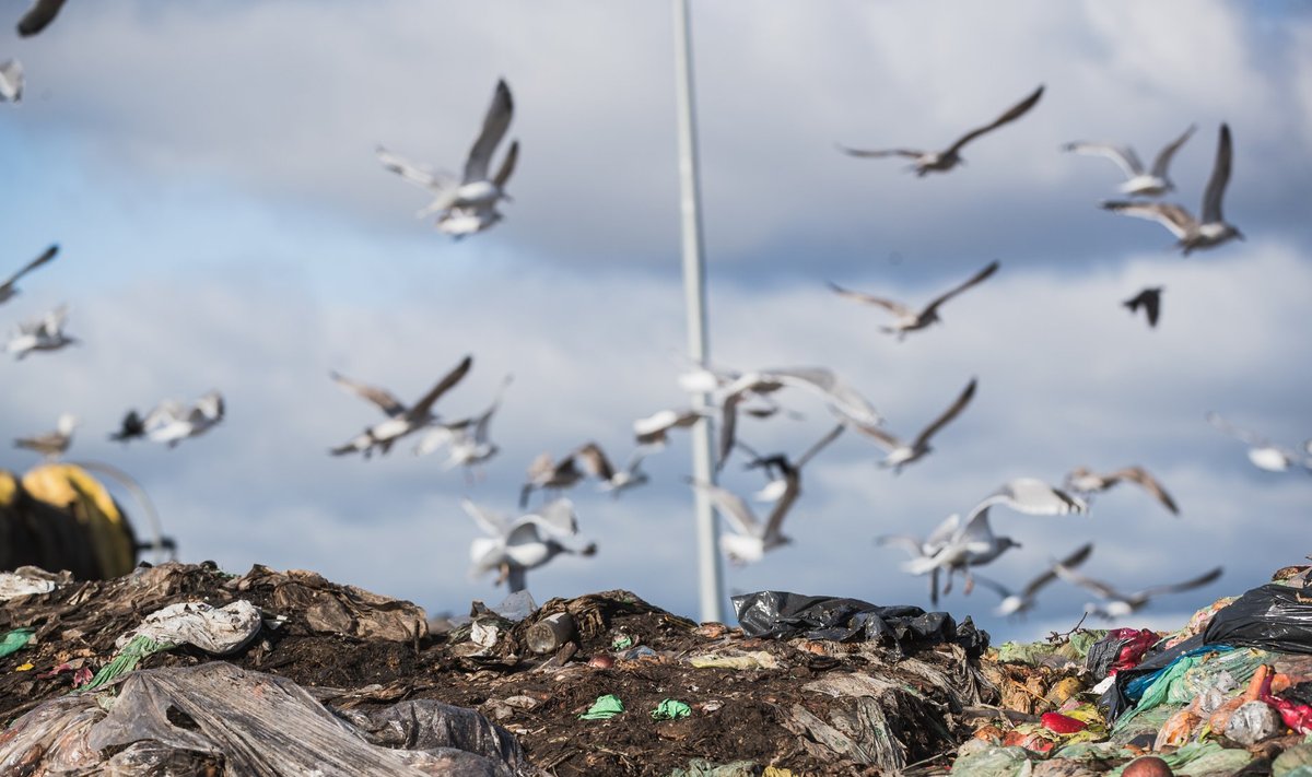 Biojäätmete komposteerimine Aardlapalu prügilas