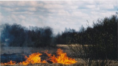 Трава горит: в апреле спасатели уже тушили 156 пожаров на открытой местности
