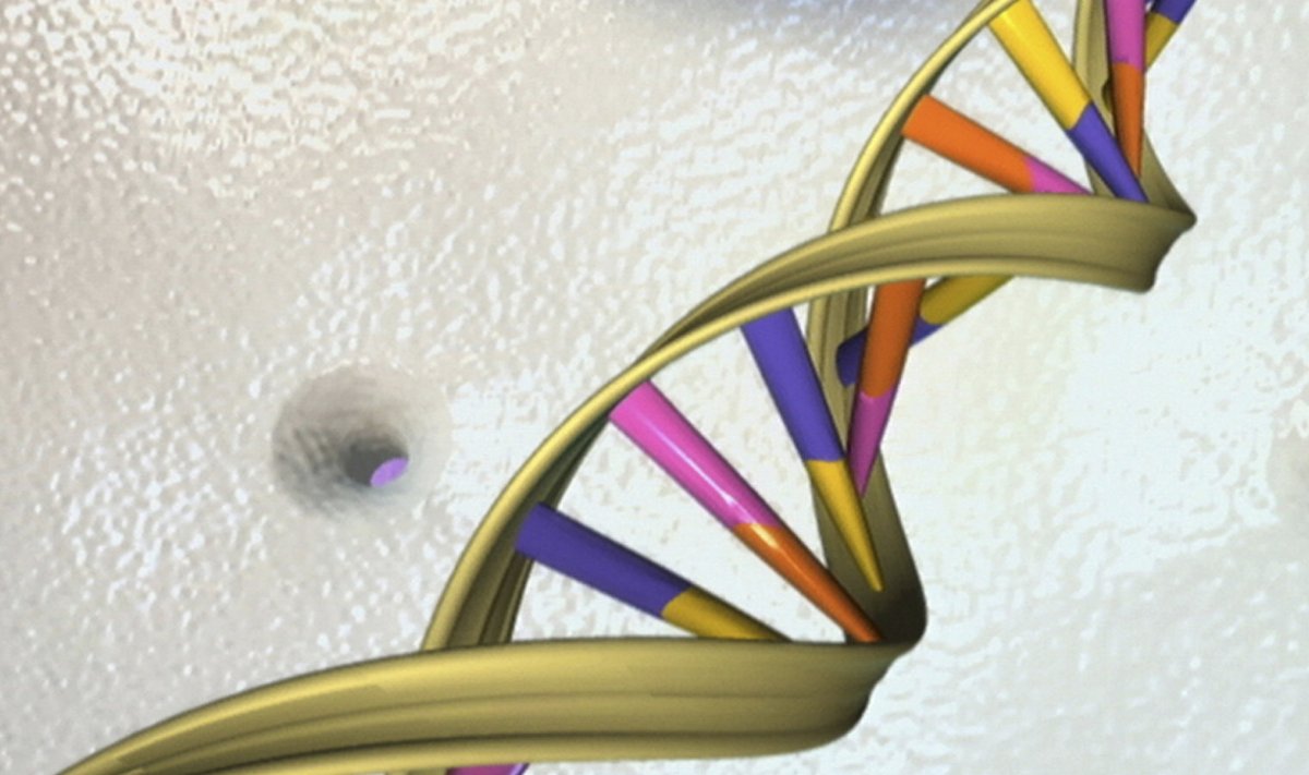 Kunstniku nägemus sellest, milline näeb välja inimese DNA topeltahel. (Foto: REUTERS)