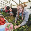 Koolivaheajal maale töö- ja võõrutuslaagrisse