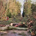 Kas 2005. aasta jaanuaritorm mõjutas Rootsi metsalinnustikku?