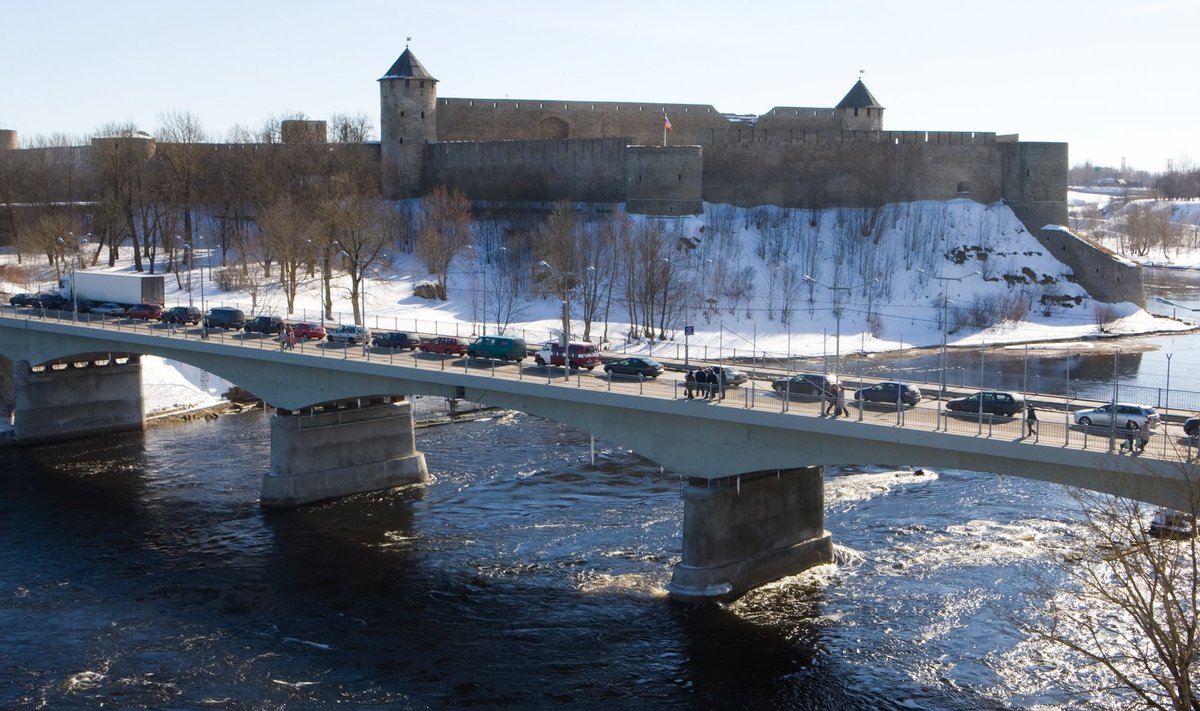 NARVA SILD