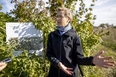 Kate Brown leiab, et lennujaamataguse aianduskogukonna laiali ajamine oli viga – tulevikus võib vajadus kohaliku toidu järele suureneda.