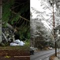 DROONIVIDEO ja FOTOD: Pärnamäe teel hukkus liiklusõnnetuses kolm Viimsi keskkooli abiturienti