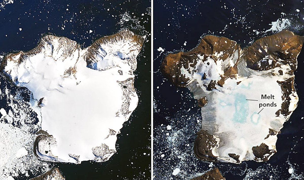 Fotol on näha Kotkasaar, jäise mandri kirdeosas asuv poolsaar, veebruarikuu kuumalaine alguses ja lõpus. Antarktikas oli sel kuul ajaloo kuumim päev: 20,7 soojakraadi. NASA andmetel mõõdeti samal päeval sama temperatuur Los Angeleses.