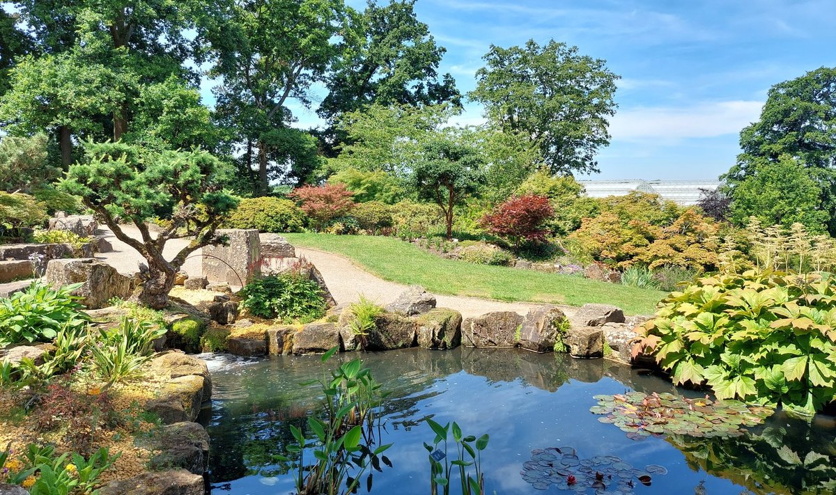 Garden Wisley nõlval laiub mastaapne terrassidega kiviaed, kus kasvavad okaspuud, alpitaimed ja on mitmeid veesilmi.