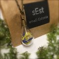 Palju õnne! Eesti parimaks õpilasfirmaks valitud sEST paneb kodumaa looduse ehetesse