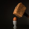 Loomakaitseorganisatsioon Nähtamatud Loomad tahab Prismas puurikanade munade müüki lõpetada – milline on Prisma seisukoht?