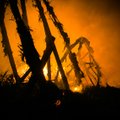 Tartumaal põles eakas naine haagissuvilasse sisse