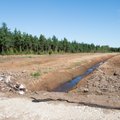 Eesti olulist maavara väärindatakse välismaal. Meile jääb vaid emissioon
