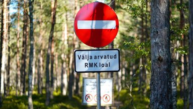 RMK nõukogu esimees Randel Länts: Marrani tasu võrdlemine peaministri palgaga ei päde