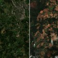 FOTOD | Eestimaad kuivatanud põud kosmosest vaadatuna