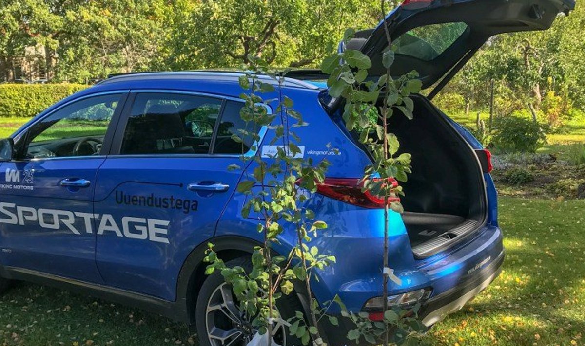 Kia Sportage ja kõnealused kolm ploomipuud