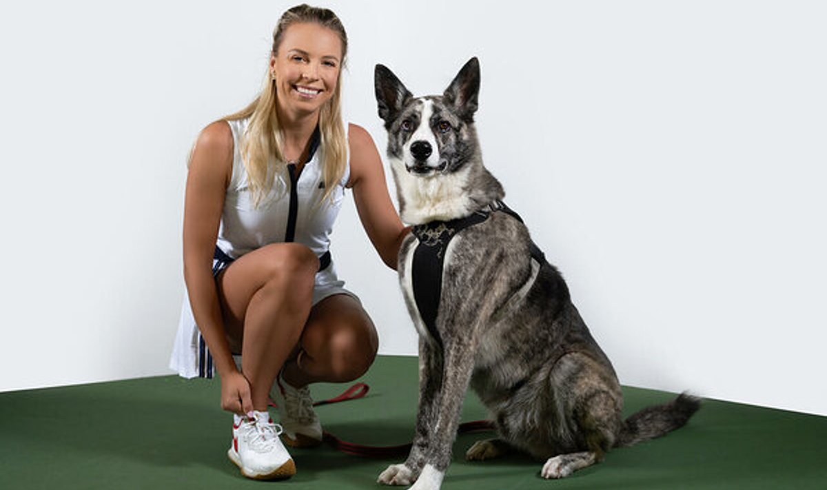 Anett Kontaveit koeraga