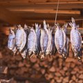 ÜLEVAADE | Kõige mõnusam snäkk – kuivatatud kala! Kuidas ja milliseid kalu kuivatada? Aga kas teadsid, et kuivatatud kala söömiseks on ka omad nõksud?