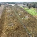 Kliima soojenemine asendab Eesti okasmetsad lehtpuudega
