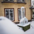 ФОТО | По-своему твердая скульптура: в Тарту появился пенис изо льда