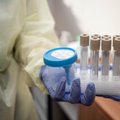 Суд дал истцам право участвовать в мероприятиях с негативным тестом на коронавирус