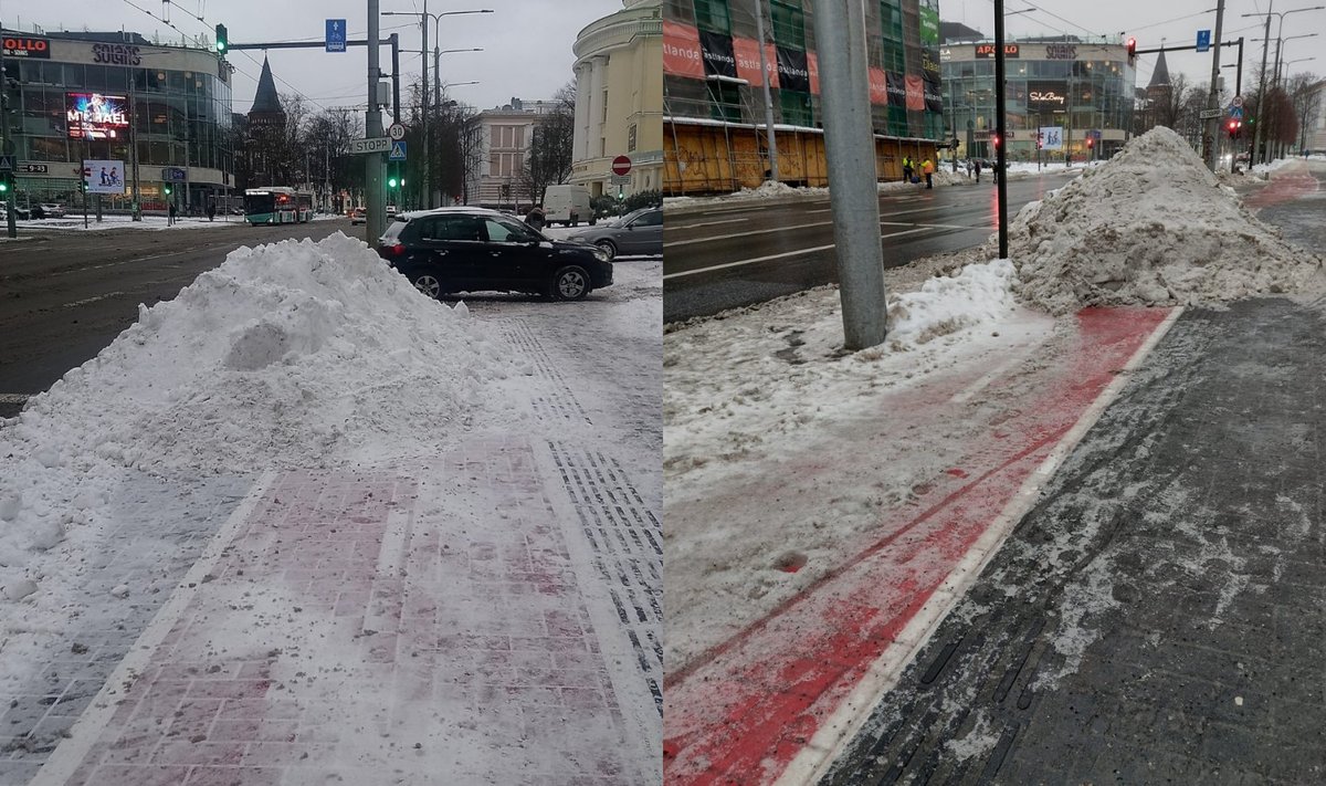 Tallinna kesklinna Tammsaare pargi kõrvalt jooksev rattatee on novembri lõpust saadik lumevalli all lõksus.