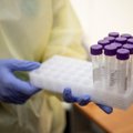 Анализ подтвердил: результаты тестов на коронавирус у прибывших из Дубая и ЮАР указывают на "омикрон"