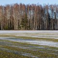 Marko Kaasik: pikk ja soe talv, mis veel kuidagi lõppeda ei taha, läheb üle keskmiseks kevadeks