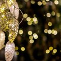 FOTOD: Taivo Piller soovitab jõuluehteid