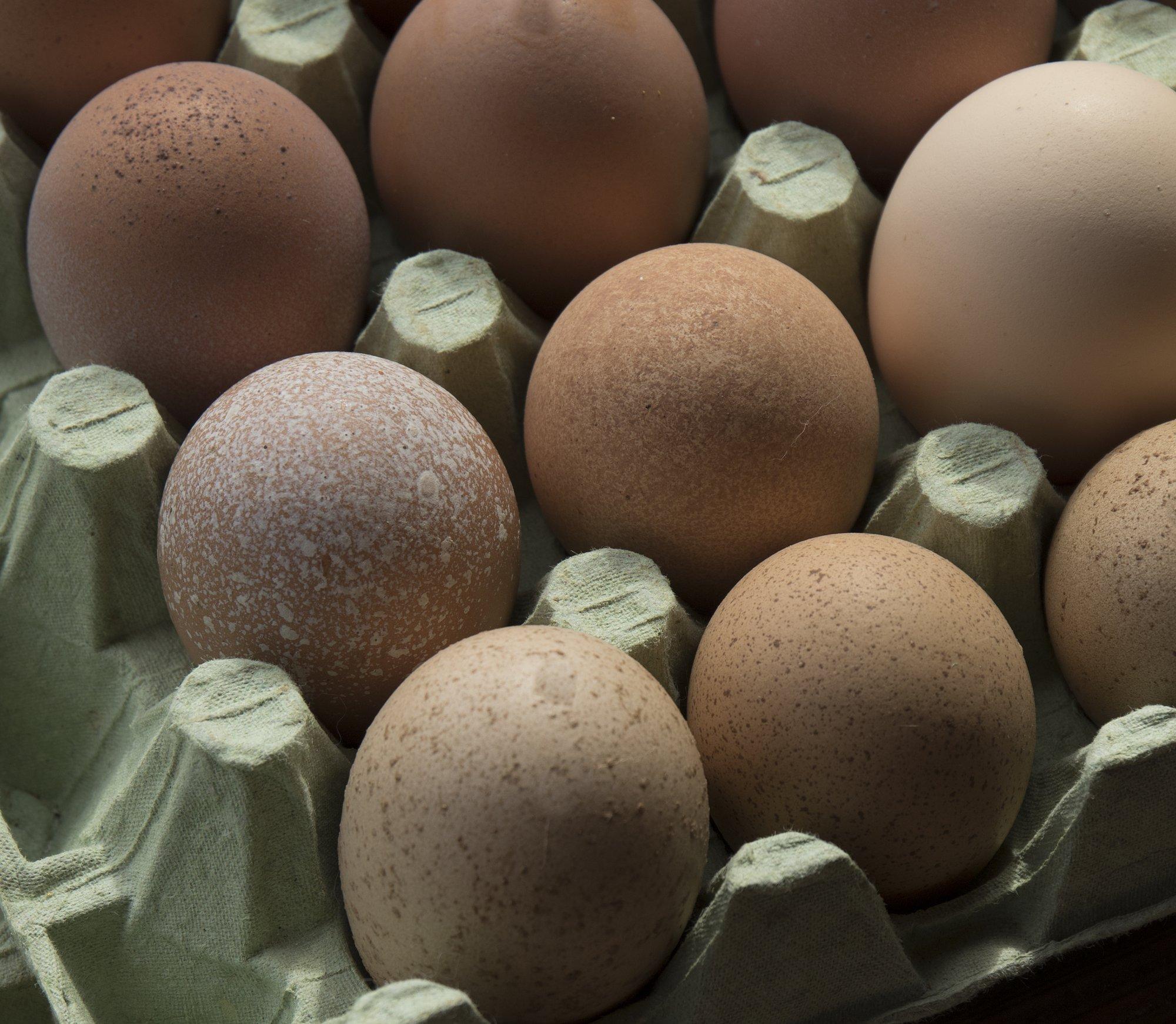 Купить челябинское яйцо. Сальмонеллез яйца куриные. Сальмонеллез на скорлупе. Яйца на прилавке.