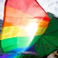Teadlased: homoseksuaalsust põhjustavat üksikgeeni pole olemas