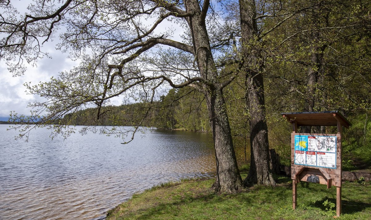 Looduskaitsjad kardavad, et Uljaste järv võib Kiviõli keemiatööstuse puuraukude ja kaevanduse rajamise järel kuivaks jääda.