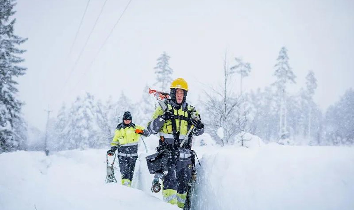 Elektrilevi tööd Saaremaal.