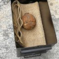 Kartulikrõpsutehasest leitud kummaline kartul osutus hoopis käsigranaadiks