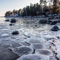 ФОТО | Странные „ледяные яйца“ усеяли эстонское побережье