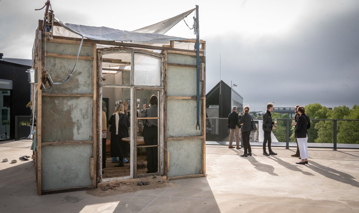 Sophie Durandi töö EKA katusel võtab vaatluse alla keskkonna hääbumise. Näitus TASE ´22.
