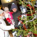 ФОТО: К Рождеству готовы! Главные елки в разных городах Эстонии